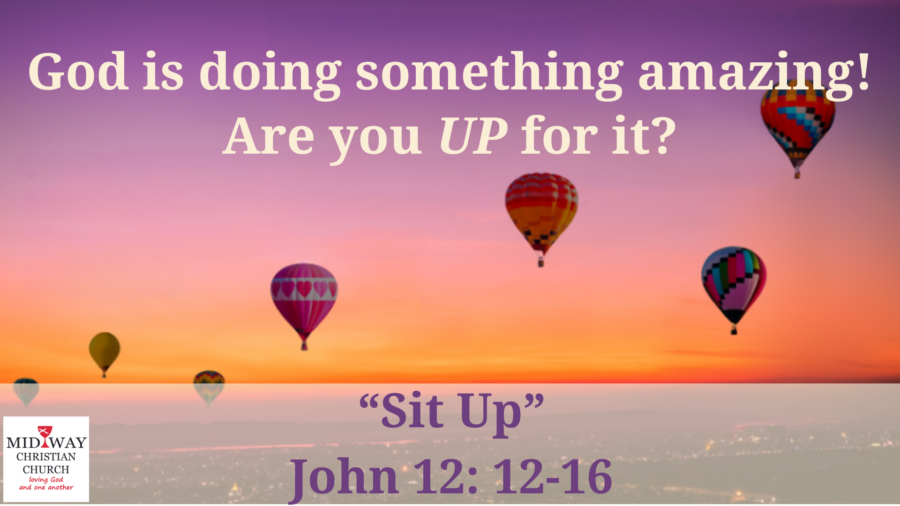 Sermon cover for "Sit Up", John 12: 12-16