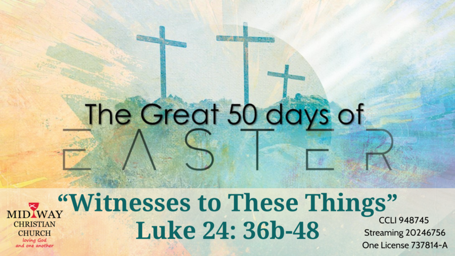 thumbnail image for sermon: Witnesses to These Things Luke 24: 36b-48